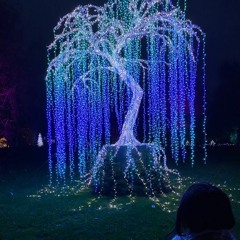 Carpetman – My Honey (320)