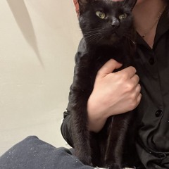 Relaxing music for cat 🐈