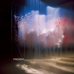 Magnetic Fields