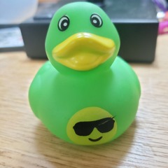 TheEpicDuck - Radical New Word Looper Song