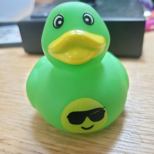 TheEpicDuck - Radical New Word Looper Song