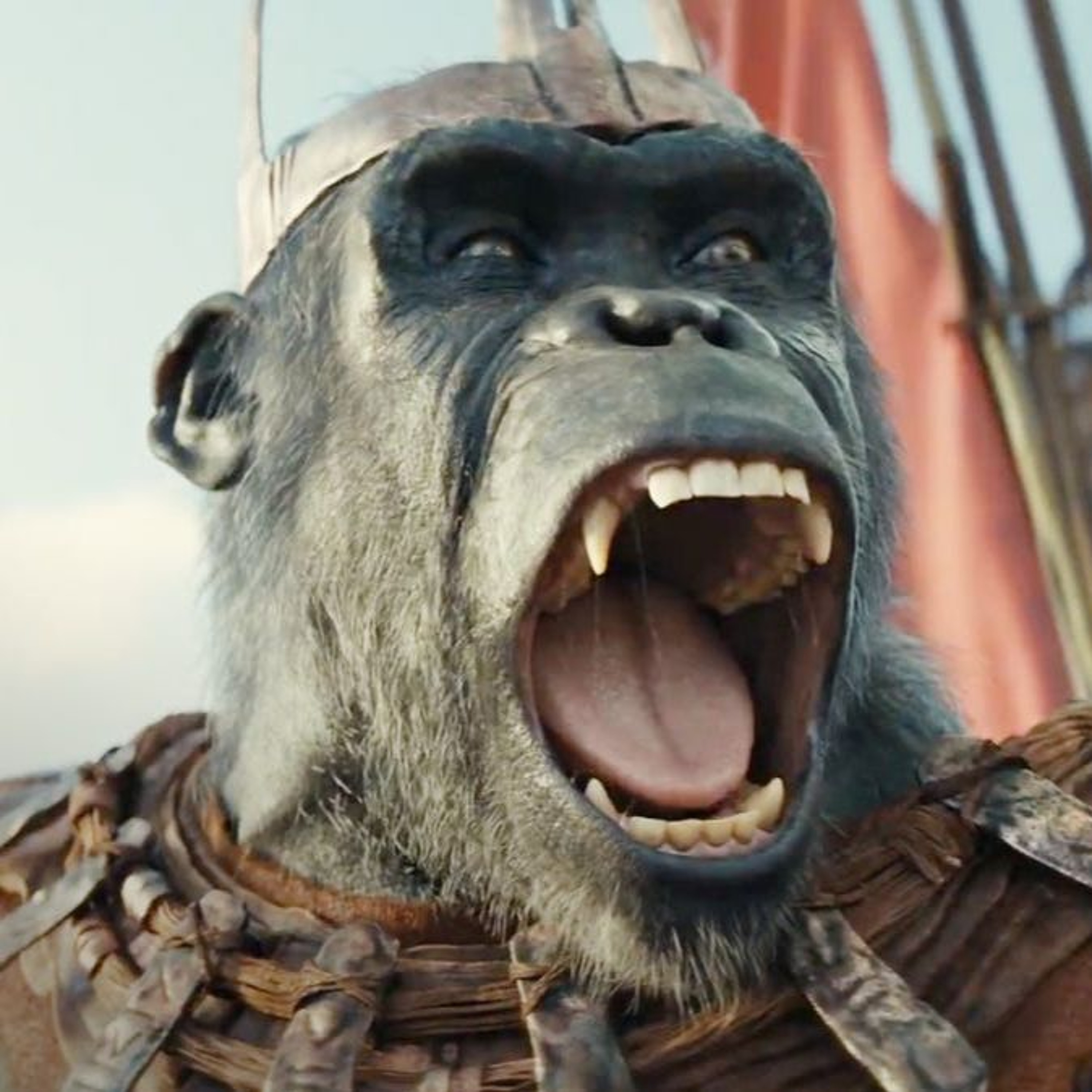 The Iron Koob Fights Movies