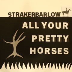 All Your Pretty Horses