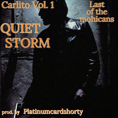 Quite Storm  prod. by Platinumcardshorty