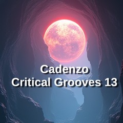 Cadenzo - Critical Grooves 13
