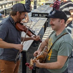 Shakin' Down The Acorns