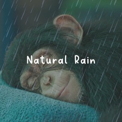 Rain For Sleep Rain On Window