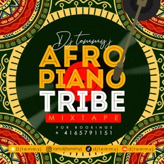 AFROPIANO TRIBE PARTY MIX
