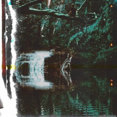 NvrHome(p. eem triplin)