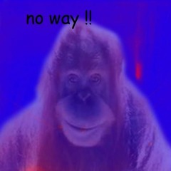 sar.casm - all out (MONKE DENB REMIC) FULL VERSION