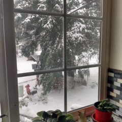 The Holly and the Ivy