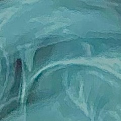 핏불테리어 Troy version.