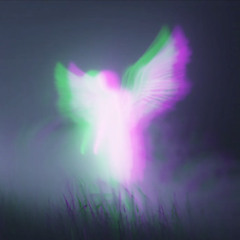 halo