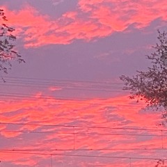 DreamShake prod. Xenn