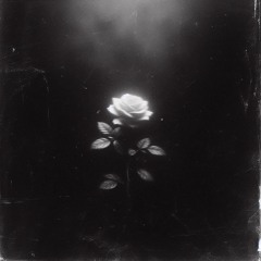 love or poison?