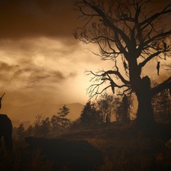 The Witcher 3-  Velen Ambient Theme Extended