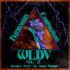 WLDV - Harmonious Combinations Vol.21 - Nov 2025 - The Sound Vinylmix
