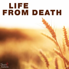 Life From Death