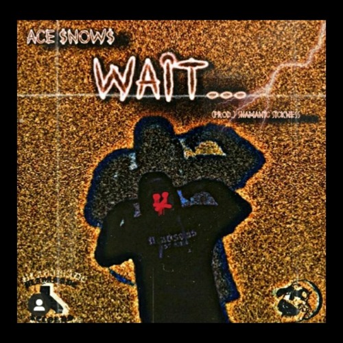 WAIT (PROD. SHAMANIC SICKNESS)