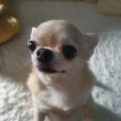 Justin Timberlake, Timbaland, Nelly Furtado-Give it to me(slowed)