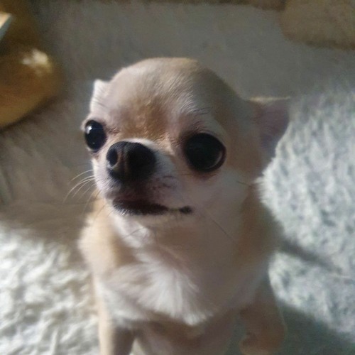 Justin Timberlake, Timbaland, Nelly Furtado-Give it to me(slowed)