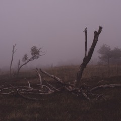 Winter 3 (AT)