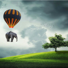 Direct Support for Loofy