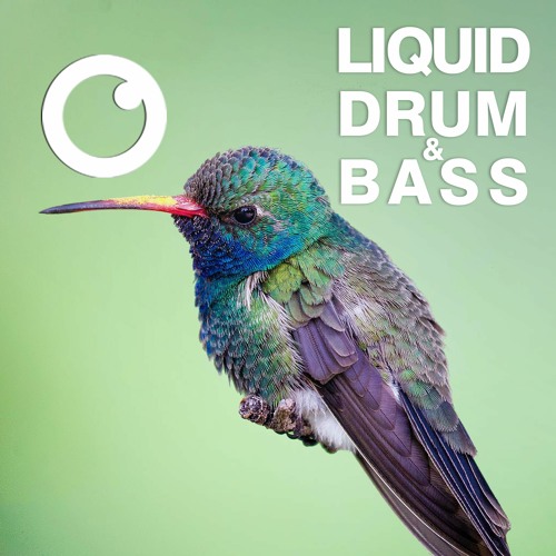 Liquid Drum and Bass Sessions  #45 [June 2021]