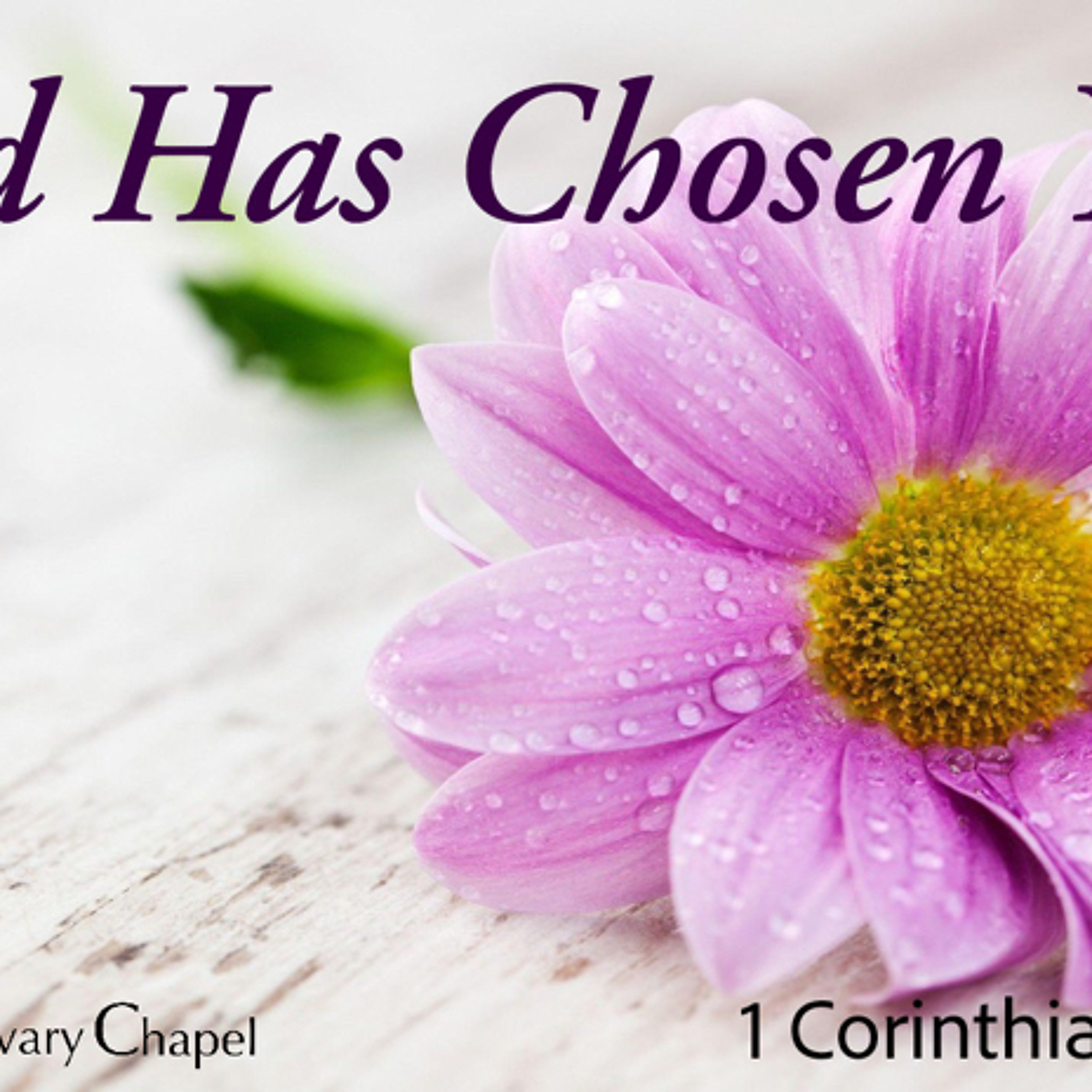 God Has Chosen You episode artwork