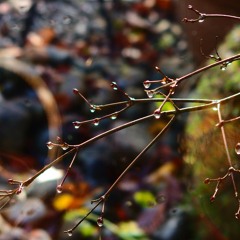 Love Lockdown - Instrumental