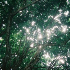 We won’t back down