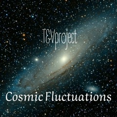 Cosmic Fluctuations