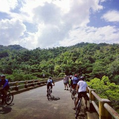 Stay - Post Malone (Acoustic cover)