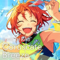 Coruscate Breeze - Knights / cover by Riko