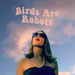 Birds Are Robots
