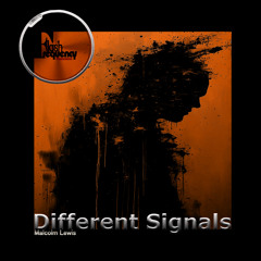 Different Signals (Dubbed Mix)
