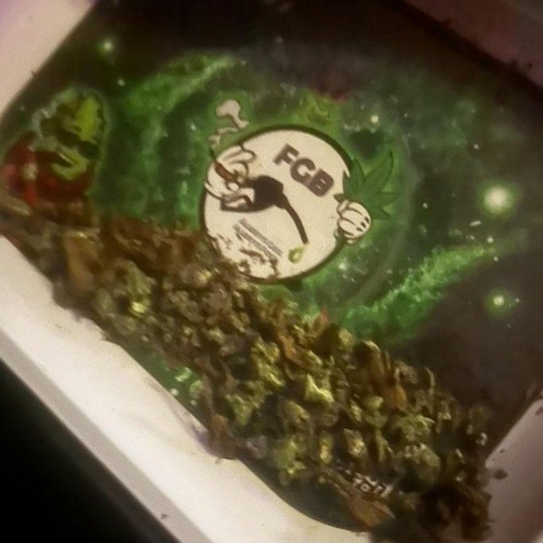 OGP BLANKS x KENOFRM6- Punchin in