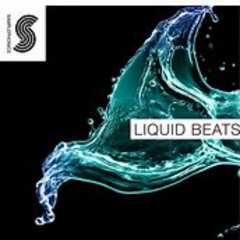 The Liquid Beat 4