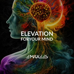 Elevation For Your Mind (Original Mix)