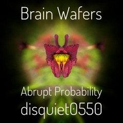 Brain Wafers Disquiet0550 Abrupt Probability