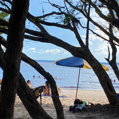 VA - A soneca de Madona