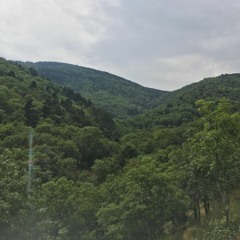 Saon'-Été-2021.