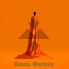 Wayne Snow - Nina (Bonz Remix)