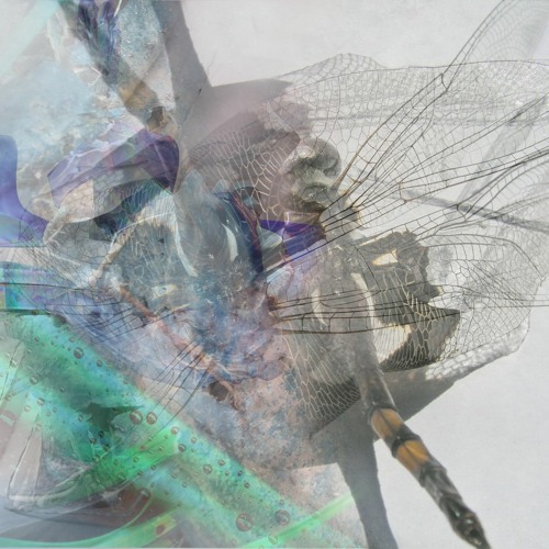 synesthesia