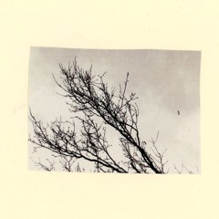 untitled #1 / frogs in the cold