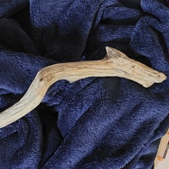 Der Klang des Wasserdrachen Teil 1.m4a