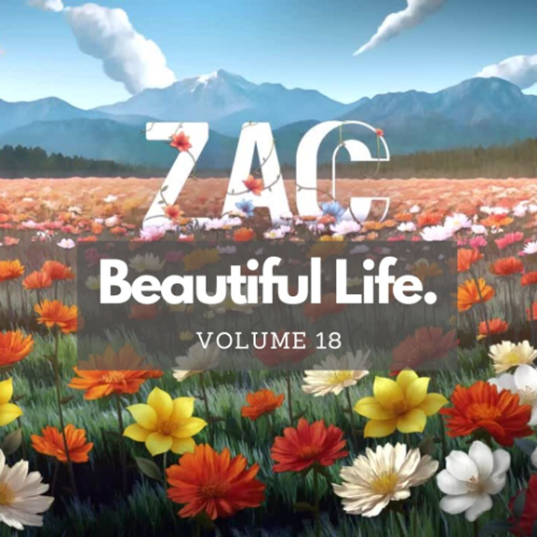 Stream Beautiful Life - Volume 18 - Melodic and Progressive House Stream Beautiful Life - Volume 18 - Melodic and Progressive House