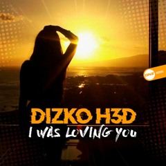 Dizko H3d - I was loving you