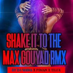 SHAKE IT TO THE MAX GOUYAD RMX DJ WAWA X PIMAN X TILEX