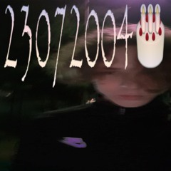 23072004 (mam21)